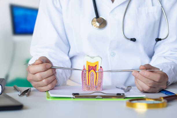 Best Pediatric Emergency Dentist in Montezuma, IA